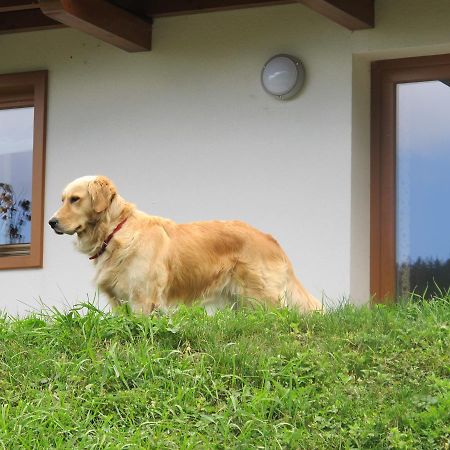 Apartmán Il Cardo Trentino Bedollo Exteriér fotografie