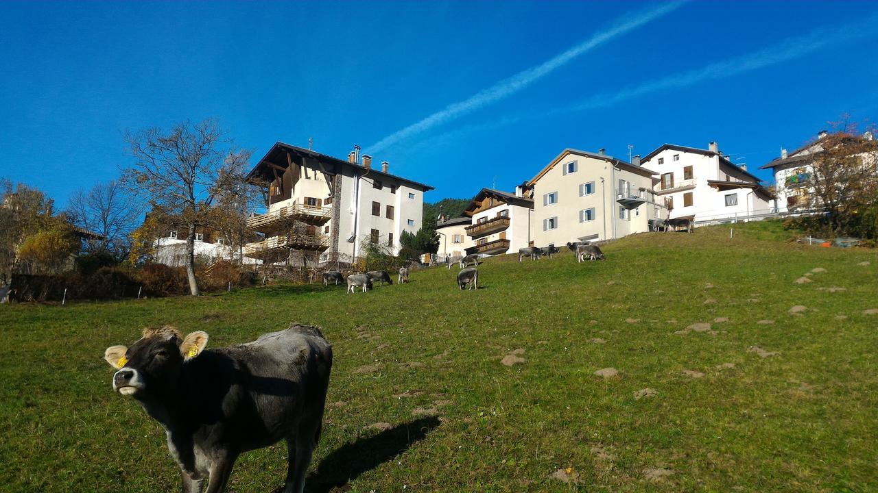 Apartmán Il Cardo Trentino Bedollo Exteriér fotografie