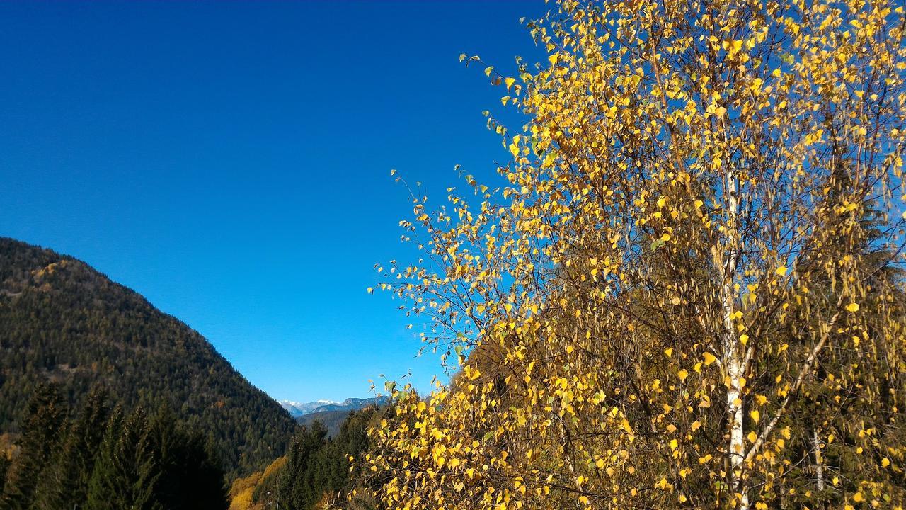 Apartmán Il Cardo Trentino Bedollo Exteriér fotografie