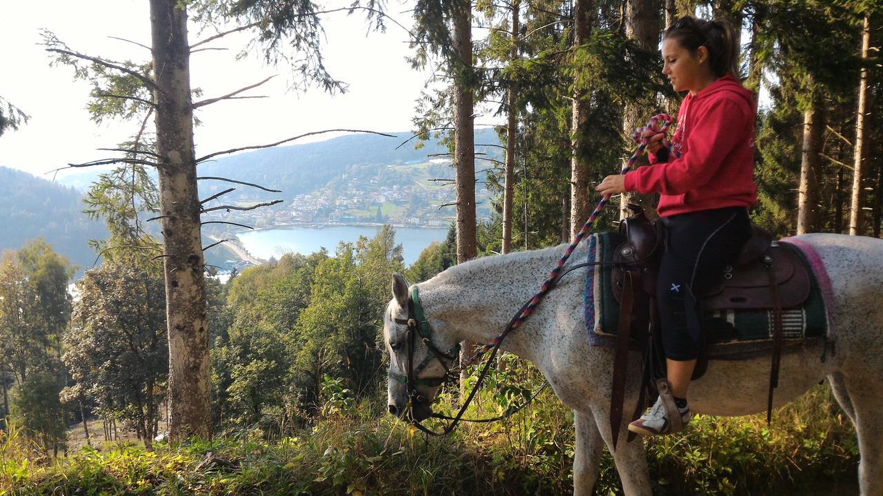 Apartmán Il Cardo Trentino Bedollo Exteriér fotografie