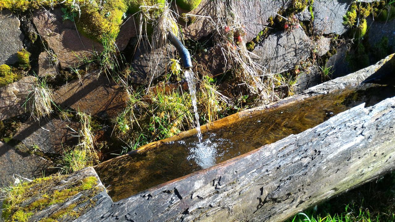 Apartmán Il Cardo Trentino Bedollo Exteriér fotografie