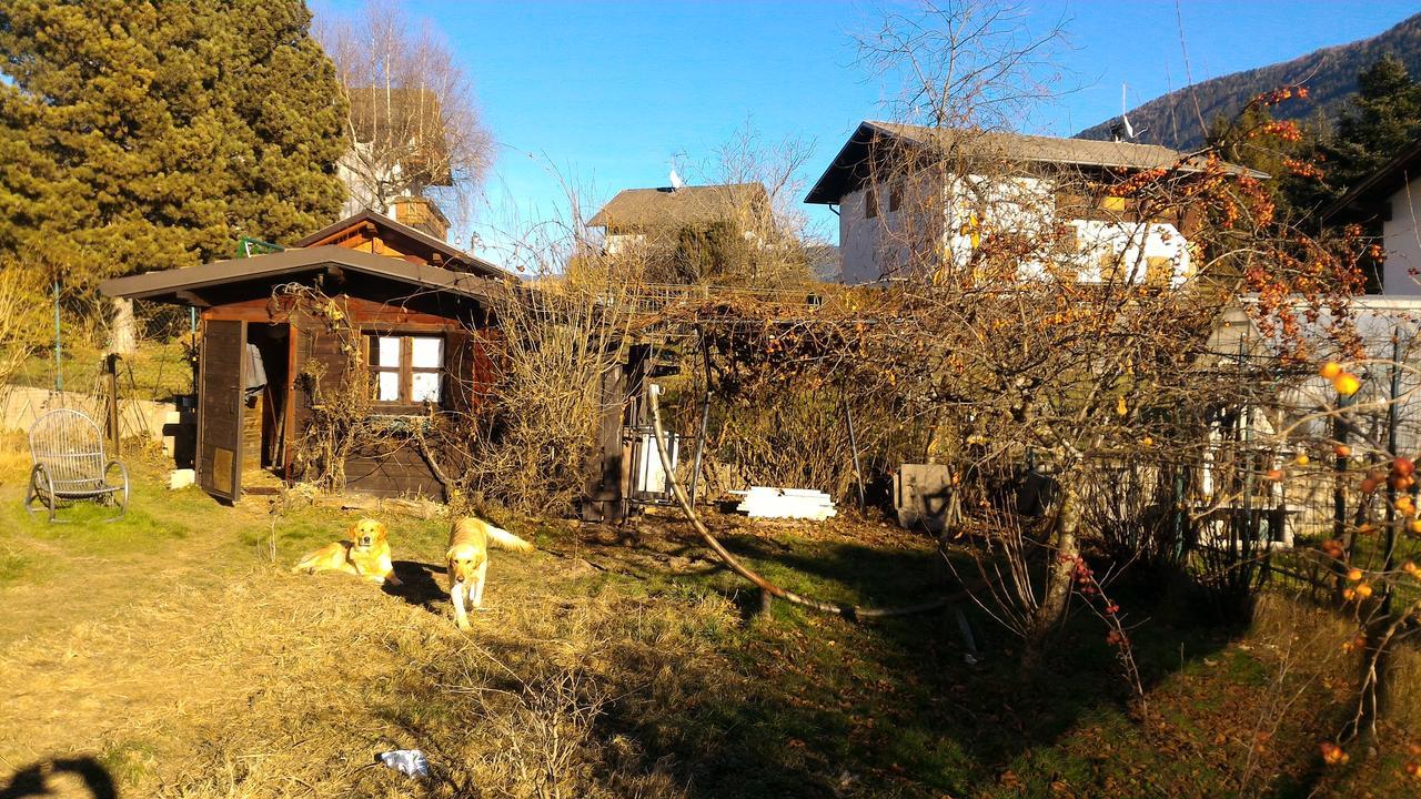 Apartmán Il Cardo Trentino Bedollo Exteriér fotografie