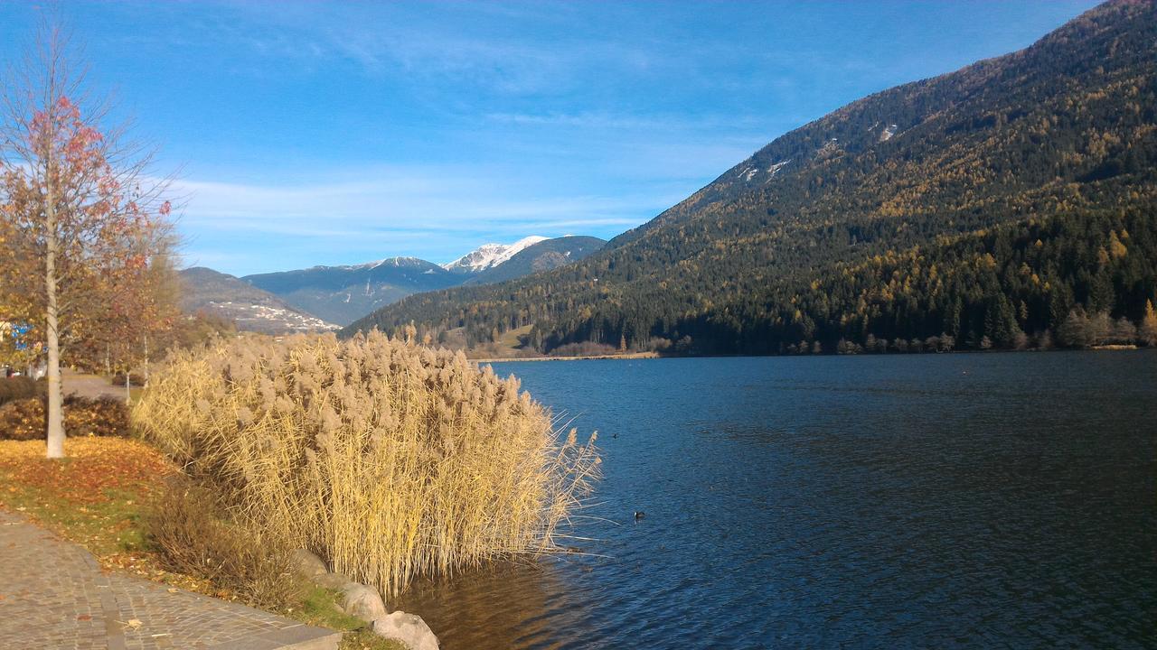 Apartmán Il Cardo Trentino Bedollo Exteriér fotografie